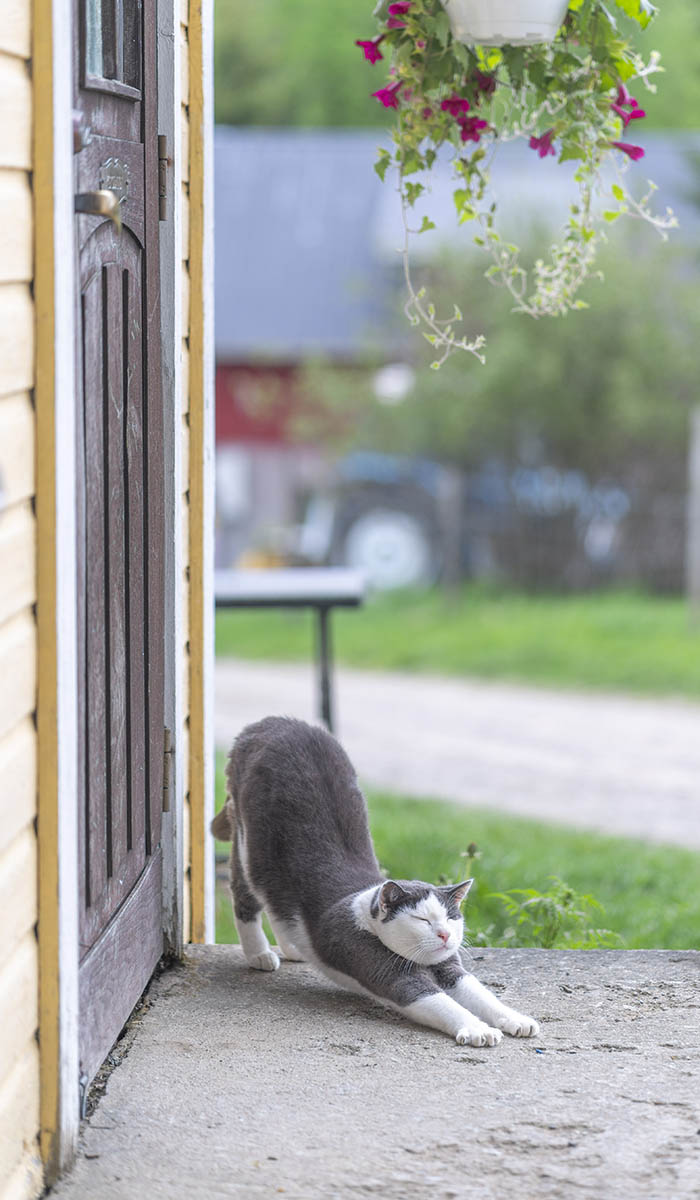 Terve ihminen